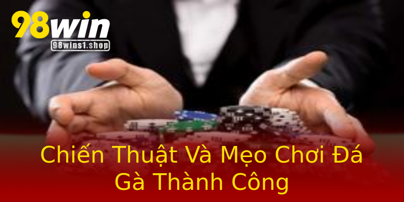 Chiến Thuật Và Mẹo Chơi Đá Gà Thành Công Chiến Thuật Và Mẹo Chơi Đá Gà Thành Công