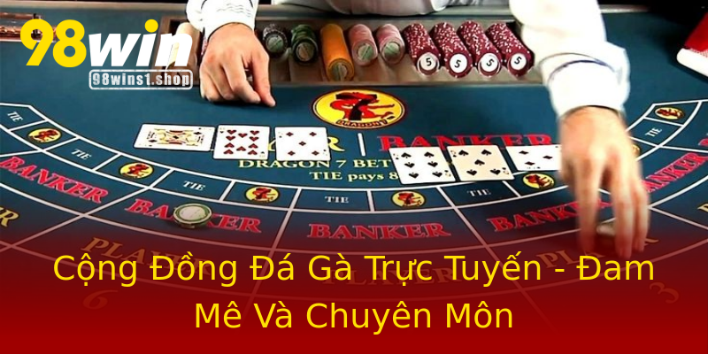 Cộng Đồng Đá Gà Trực Tuyến - Đam Mê Và Chuyên Môn Cộng Đồng Đá Gà Trực Tuyến - Đam Mê Và Chuyên Môn
