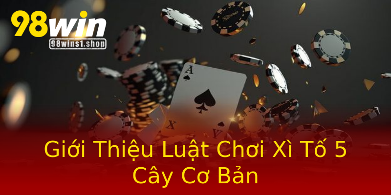 Giới Thiệu Luật Chơi Xì Tố 5 Cây Cơ Bản Giới Thiệu Luật Chơi Xì Tố 5 Cây Cơ Bản