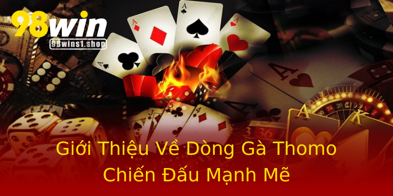 Giới Thiệu Về Dòng Gà Thomo Chiến Đấu Mạnh Mẽ Giới Thiệu Về Dòng Gà Thomo Chiến Đấu Mạnh Mẽ