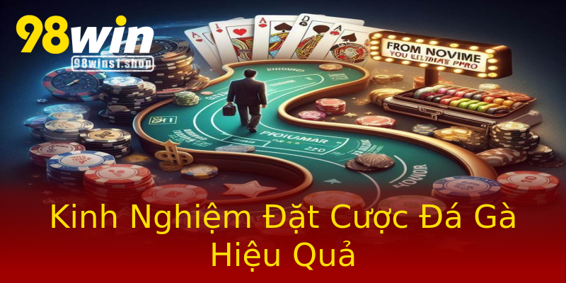 Kinh Nghiệm Đặt Cược Đá Gà Hiệu Quả Kinh Nghiệm Đặt Cược Đá Gà Hiệu Quả