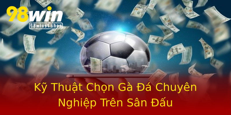 Kỹ Thuật Chọn Gà Đá Chuyên Nghiệp Trên Sân Đấu Kỹ Thuật Chọn Gà Đá Chuyên Nghiệp Trên Sân Đấu