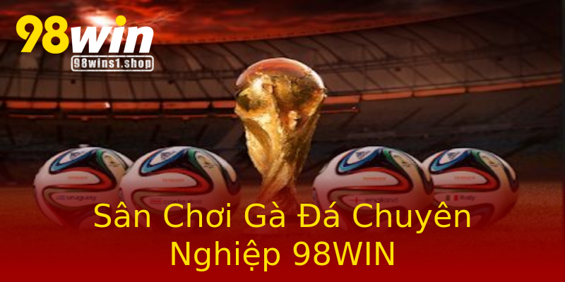 Sân Chơi Gà Đá Chuyên Nghiệp 98WIN Sân Chơi Gà Đá Chuyên Nghiệp 98WIN