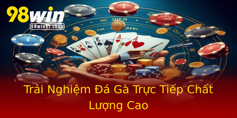 Trải Nghiệm Đá Gà Trực Tiếp Chất Lượng Cao Trải Nghiệm Đá Gà Trực Tiếp Chất Lượng Cao