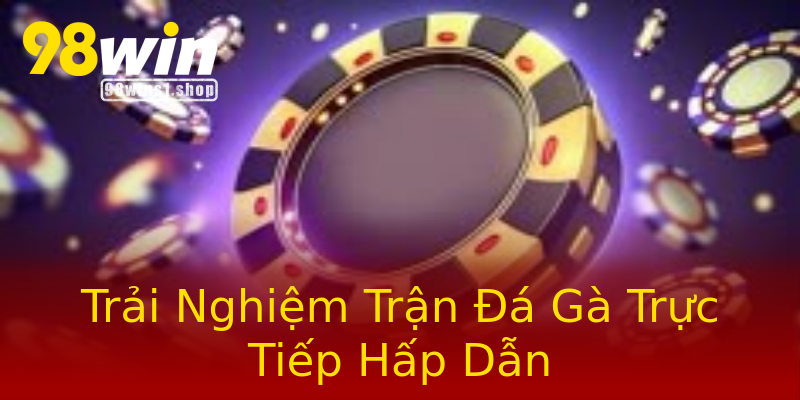 Trải Nghiệm Trận Đá Gà Trực Tiếp Hấp Dẫn Trải Nghiệm Trận Đá Gà Trực Tiếp Hấp Dẫn
